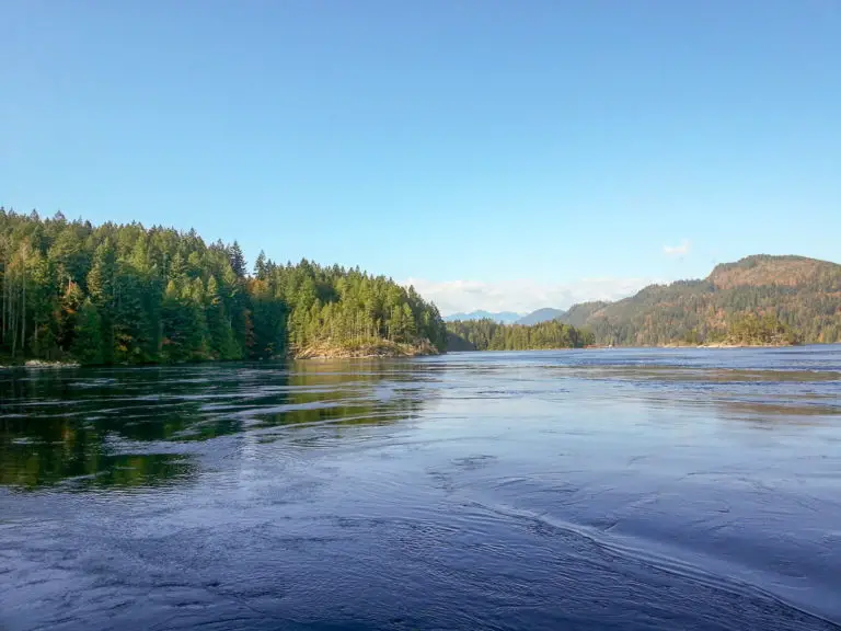 Skookumchuck Narrows Trail Hike | Outdoor Vancouver