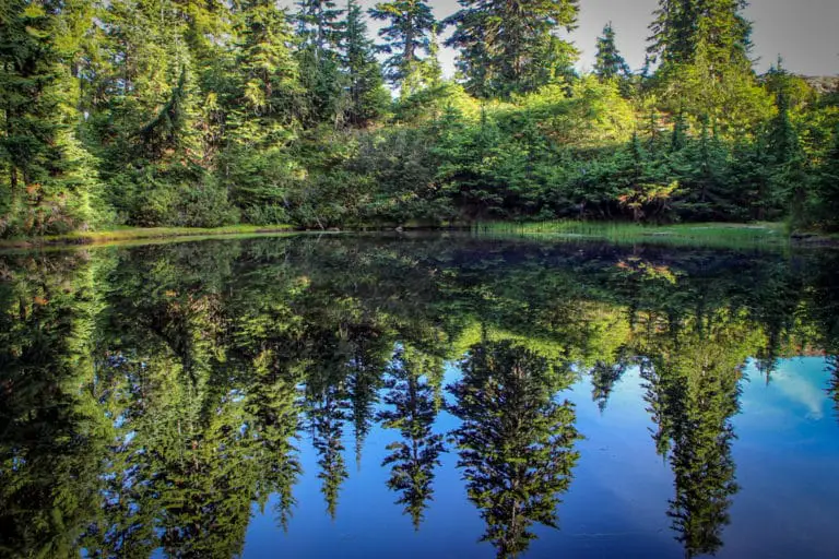 Mystery Lake Hike On Mount Seymour | Outdoor Vancouver