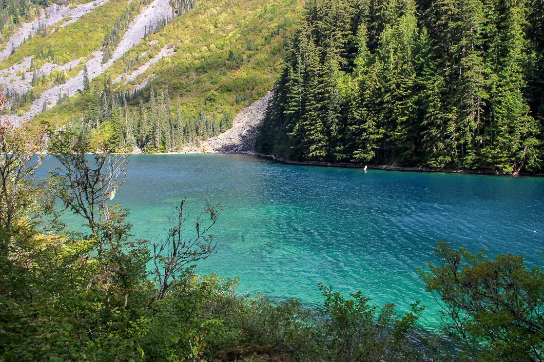 are dogs allowed at chilliwack lake