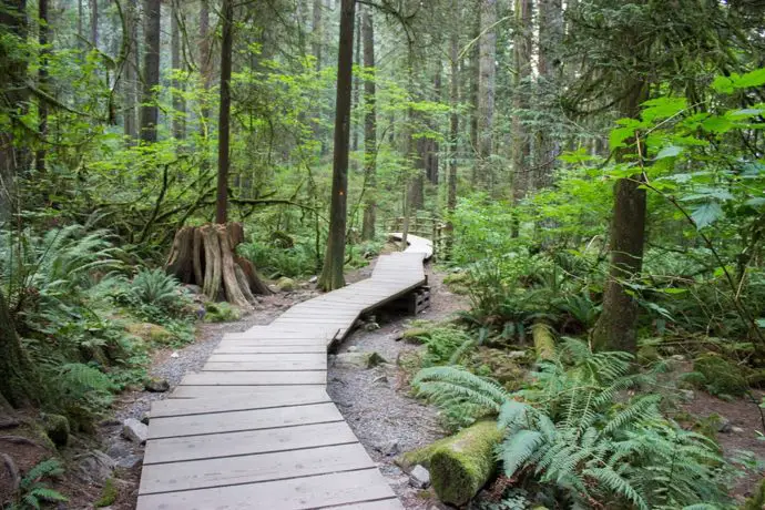 Twin Falls Hike And The Lynn Canyon Suspension Bridge | Outdoor Vancouver