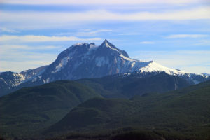 squamish garibaldi