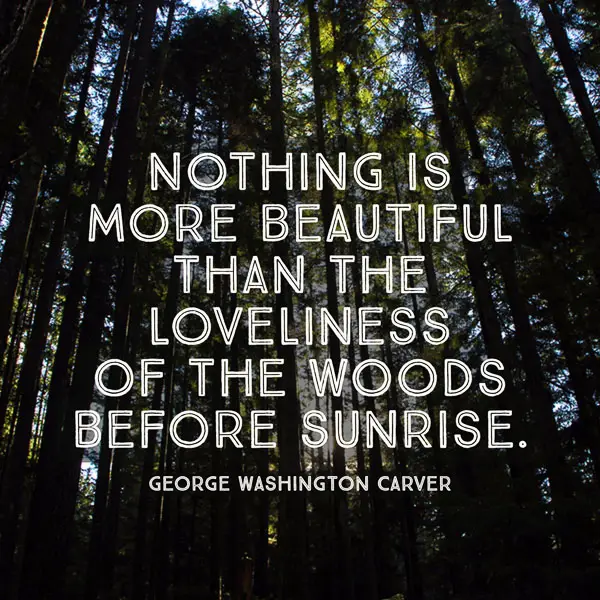 60 Inspirational Quotes That Will Make You Want To Go Hiking Outdoor Vancouver