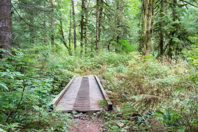 Widgeon Falls Hike And Canoe In Pinecone-Burke Provincial Park