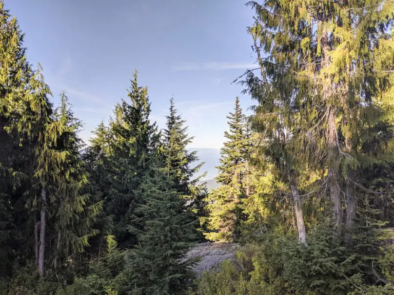 Hiking The Grouse Grind Trail In North Vancouver | Outdoor Vancouver