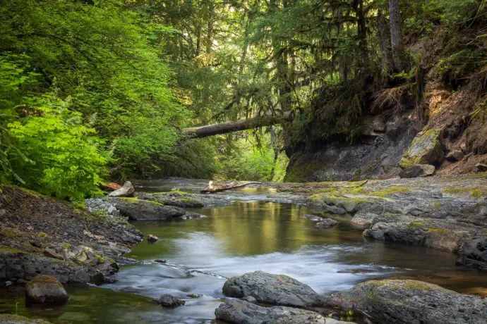 Ammonite Falls Hike Near Nanaimo | Outdoor Vancouver