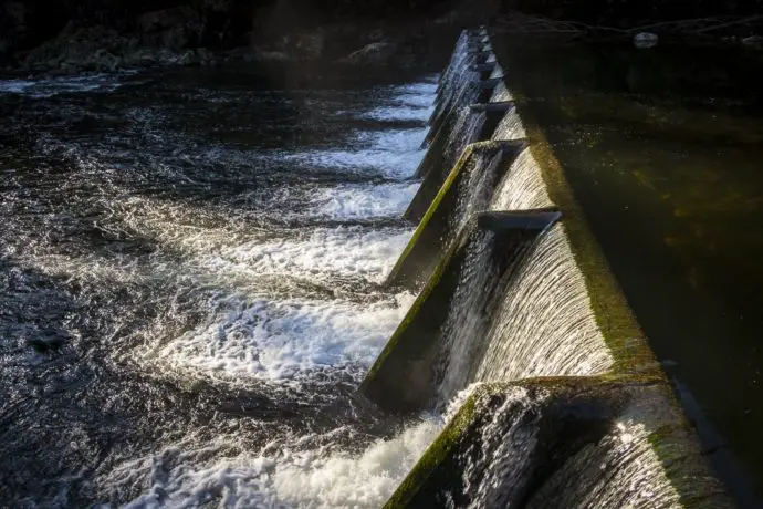 Capilano River Regional Park Hike | Capilano Canyon Loop