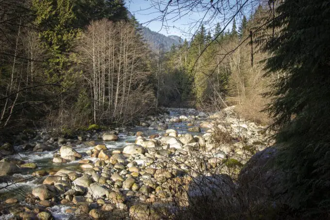 Lynn Loop Trail Hike In North Vancouver | Outdoor Vancouver