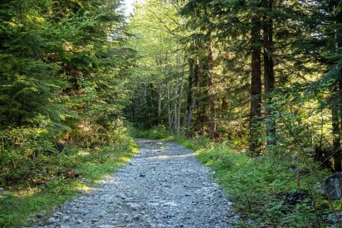 Cypress Lake Hike In Coquitlam Bc Outdoor Vancouver