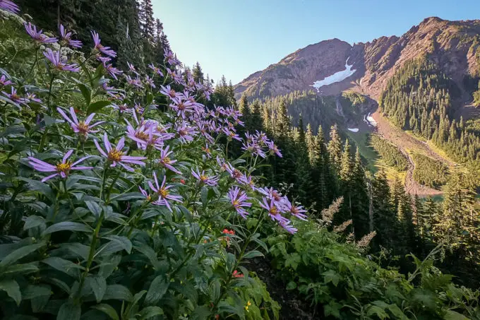 Hiking Mount Macfarlane And Pierce Lake In Chilliwack