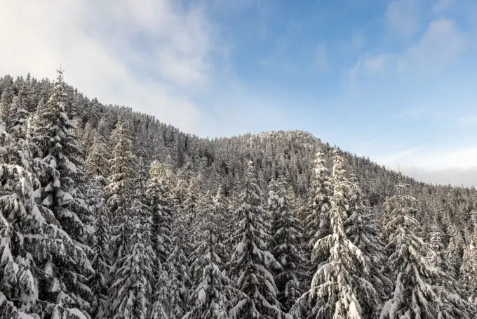 Black Mountain Snowshoe At Cypress Provincial Park