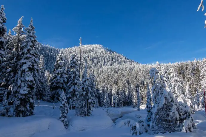 Bowen Lookout Snowshoe At Cypress Provincial Park